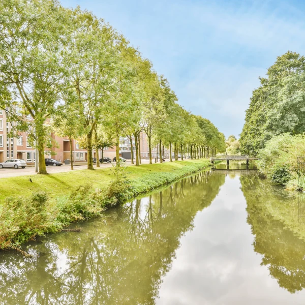 Hoe stel je een Volkshuisvestings-programma vast?